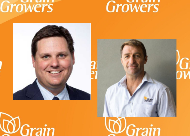 Grower members today elected Northern Region growers <a href="/nigelcorish/">Nigel Corish</a> (QLD) &amp; Ian Gourley (NSW) to the board of GrainGrowers. Thank you to Andrew Carberry who finished his rotation after many years.

Members will receive further info shortly #AusAg
Read more: bit.ly/3kcwck5