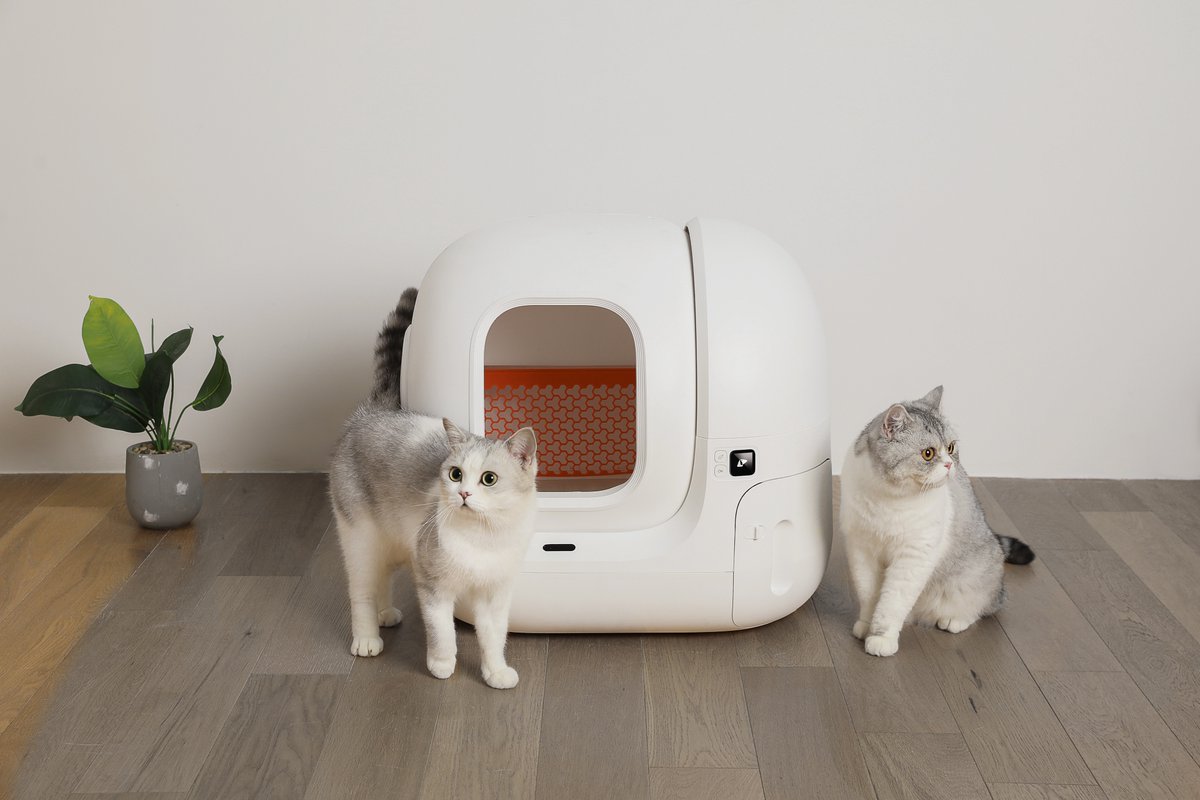 ipet litter box