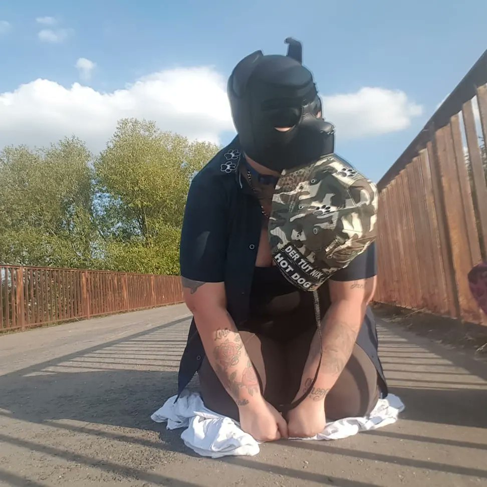 slavedogleica's tweet photo. https://t.co/xeZywJe5mO