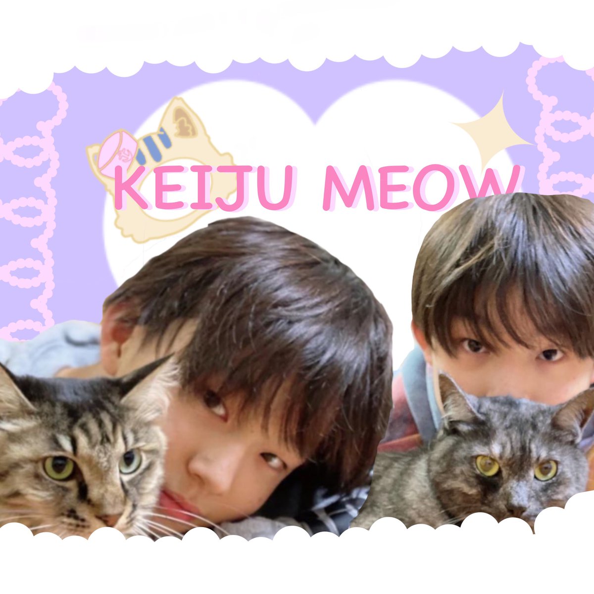 *◞mameow ॱଳ͘ จองซูเคย์จูแงว (🐱) tweet media