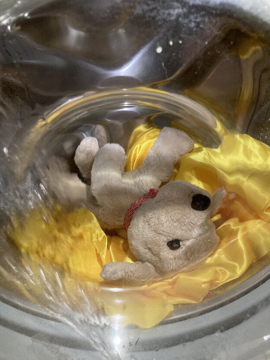 Max the Puppy tweet media