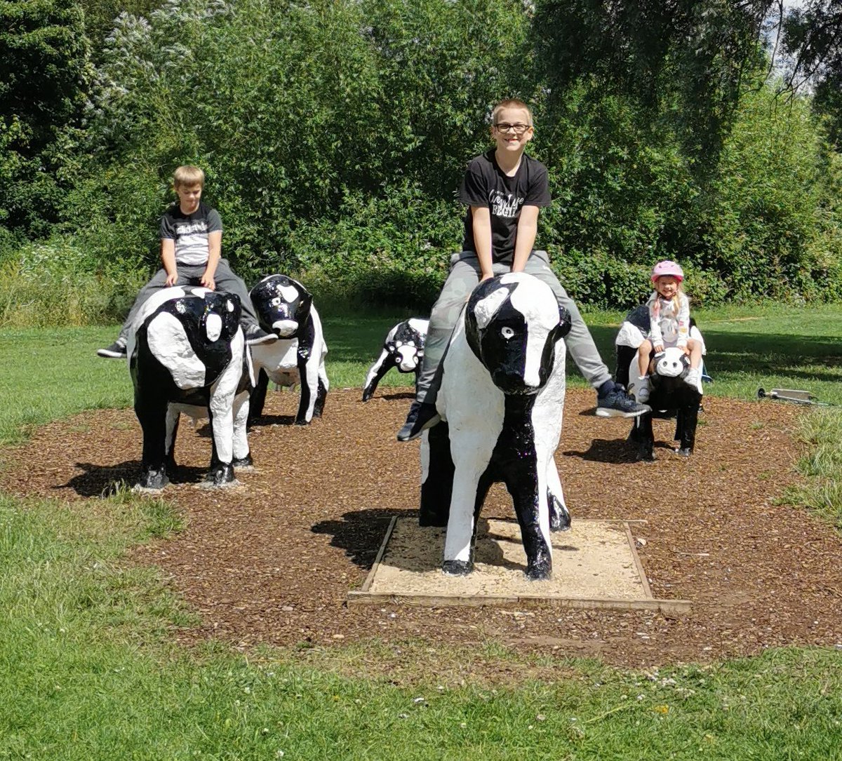 HellBellUk's tweet photo. @ChrisMoyles you can ride them! https://t.co/iWG5Z0XWA9