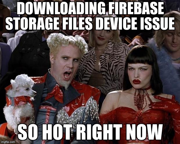 overflow_meme's tweet image. Downloading Firebase Storage Files Device Issue stackoverflow.com/questions/4025… #tmp #firebasestorage #swift #download