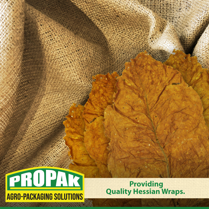PropakHessian's tweet photo. Providing Quality Hessian Wraps. 

We provide the best quality hessian wraps in Zimbabwe for use in tobacco packaging. The Hessian Cloth is a plain weave made wholly from jute fiber with a single warp and weft which makes it 100% biodegradable and eco-friendly.

For quality h ... https://t.co/Df37MwkxiP