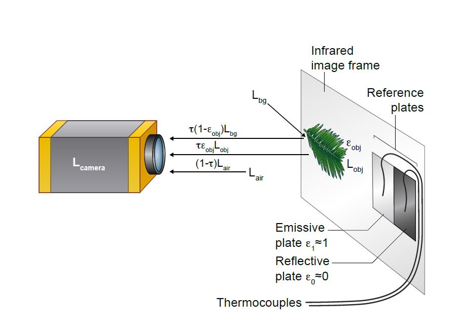 Recently accepted #Methods in New Phyt 🌱

‘Dual reference’ method for high precision infrared measurement of leaf surface temperature under field conditions  <a href="/WeizmannG/">Weizmann Institute Ecophysiology Group</a> <a href="/j_d_mueller/">Jonathan D Muller</a> <a href="/TamirDingjan/">Tamir Dingjan</a> <a href="/dan_yakir/">dan yakir</a> ow.ly/YsVp50G9DjO