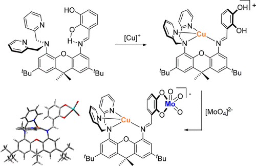 bhkenlo's tweet photo. Synthesis and Cu(I)/Mo(VI) Reactivity of a Bifunctional Heterodinucleating Ligand on a Xanthene Platform https://t.co/7bUEORlFna Lord, Groysman, and co-workers @InorgChem #copper #molybdenum #xanthene #catechol #CarbonMonoxideDehydrogenase #sulfido https://t.co/OvRcUH4xnu