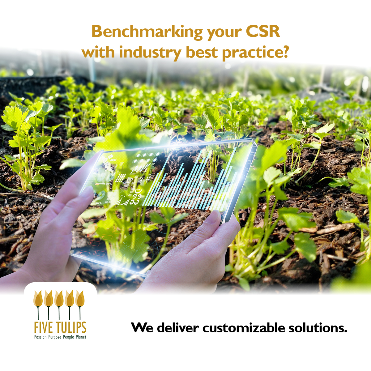 Fivetulips's tweet photo. Its good practice to benchmark your #CSR &amp; #CSI to industry best practice. See what works best and what you can improve on to create the best programmes. Contact us today to get your customised solution. https://t.co/NsUm6H0QKM #fivetulips #fivetulipsconsulting #growyourbusiness https://t.co/H5jGV6PQQx