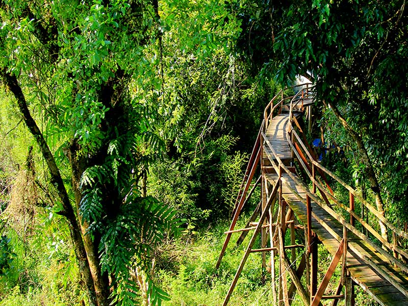 vietmountains's tweet photo. Introduction about National Parks of VietNam
https://t.co/C8xxUbGcku
#NaturePhotography #NationalParks #nature https://t.co/G0WjnUjn7a