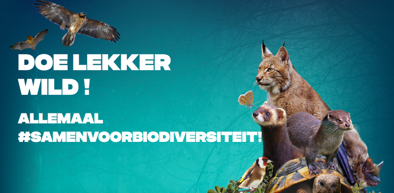 TfBiodiversity's tweet photo. 📢BREAKING: Doe Lekker Wild! #SamenVoorBiodiversiteit! #ZoneSauvage! 
In 🇧🇪 zijn één derde tot de helft van alle soorten bedreigd of al verdwenen...🐹🌸🐿🍄🐗 

Ben je klaar om te reageren en veel te verspreiden?@onestpret
@RBINSmuseum

Kom hier in actie👉https://t.co/XK4ZUY14oT https://t.co/JKZH19lYOf