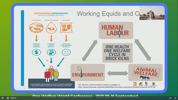 DeboraRacciatti's tweet photo. Partnering as best practice to optimize support for #OneHealth &amp; #OneWelfare for working equids and communities they support, by @FrancesGoodrum (@TheBrooke) #OWW21 https://t.co/smh7H2skDZ