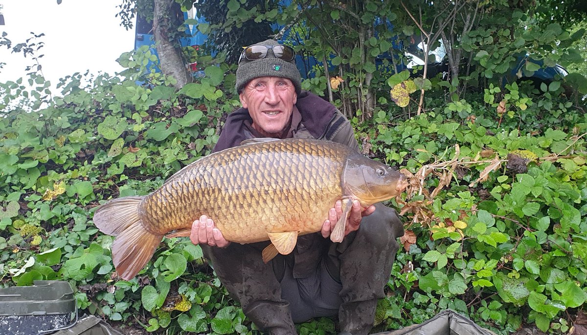 Paul Forward    MR F tweet media