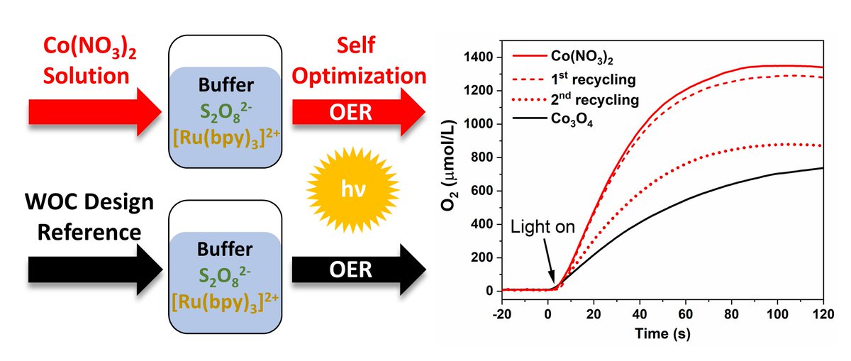 UZH Chemistry (@uzh_chemistry) on Twitter photo Making the most of cobalt photocatalysts through self-optimization - with minimum synthetic work! Thanks for the great collaboration to <a href="/lightchec/">URPP LightChEC</a> <a href="/UZH_Chemistry/">UZH Chemistry</a> <a href="/NymanMay/">NymanLab</a> <a href="/ReithLukas/">Dr. Lukas Reith</a> and <a href="/CaTrianaEs/">Carlos Triana</a> – now published in <a href="/J_A_C_S/">J. Am. Chem. Soc.</a>: pubs.acs.org/doi/full/10.10… Making the most of cobalt photocatalysts through self-optimization - with minimum synthetic work! Thanks for the great collaboration to <a href="/lightchec/">URPP LightChEC</a> <a href="/UZH_Chemistry/">UZH Chemistry</a> <a href="/NymanMay/">NymanLab</a> <a href="/ReithLukas/">Dr. Lukas Reith</a> and <a href="/CaTrianaEs/">Carlos Triana</a> – now published in <a href="/J_A_C_S/">J. Am. Chem. Soc.</a>: pubs.acs.org/doi/full/10.10…
