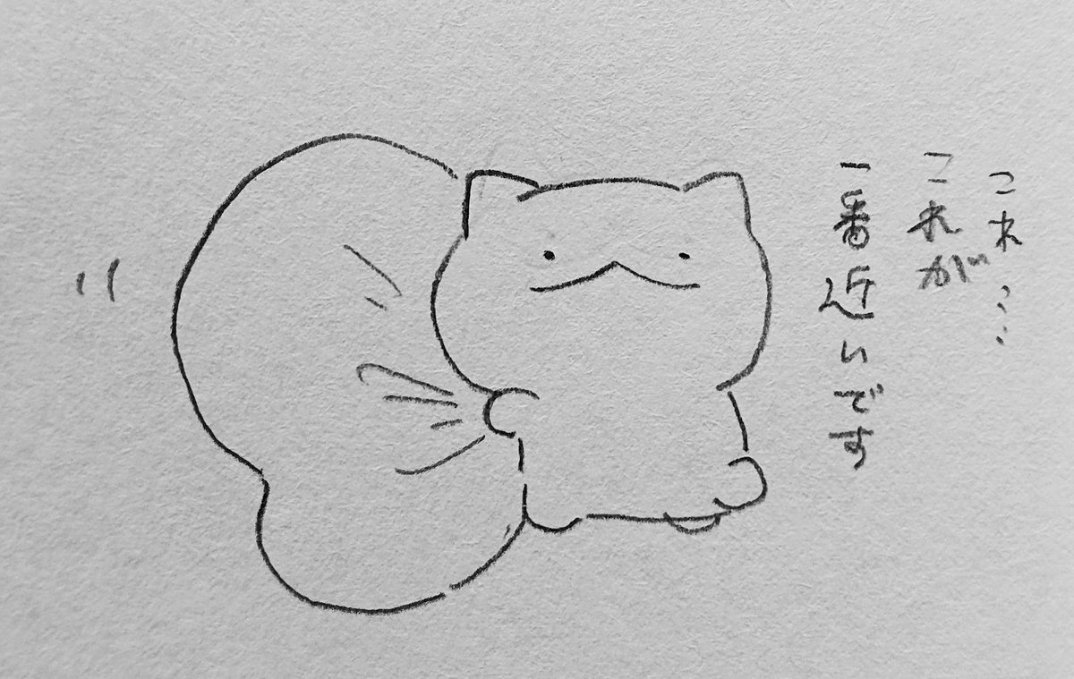 ネコカウンセラー 