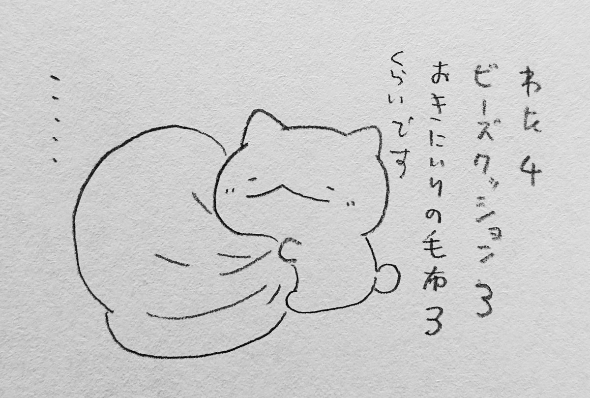 ネコカウンセラー 