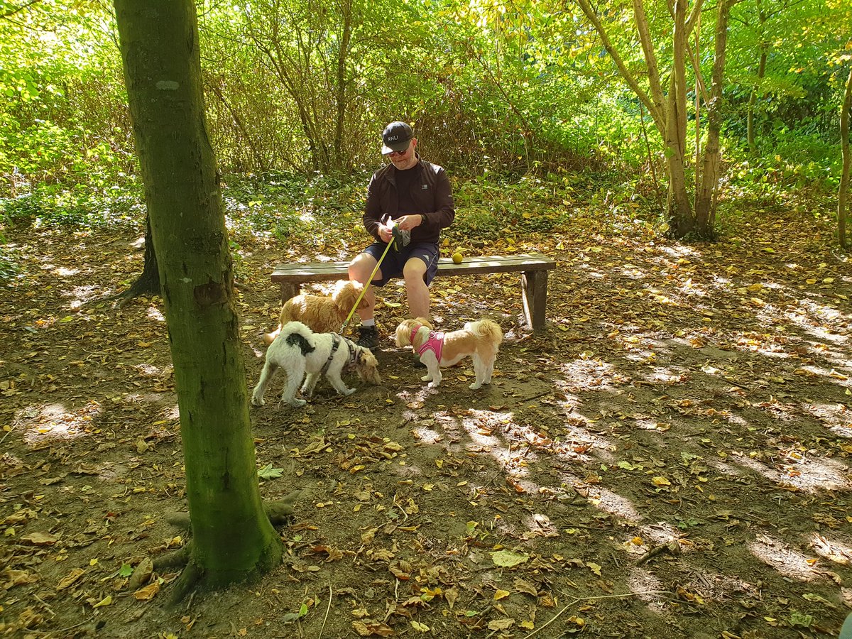 Bella🇬🇧 tweet media