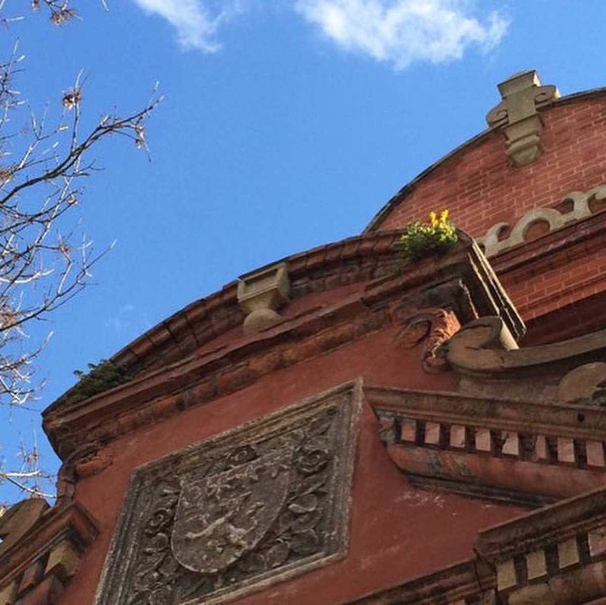 greenwichherit's tweet photo. Sad news: the outside of our lovely Charlton Assembly Rooms is now under repair following the theft of lead from the roof. The incident took place sometime in the past week. https://t.co/pV5rJTHp4H