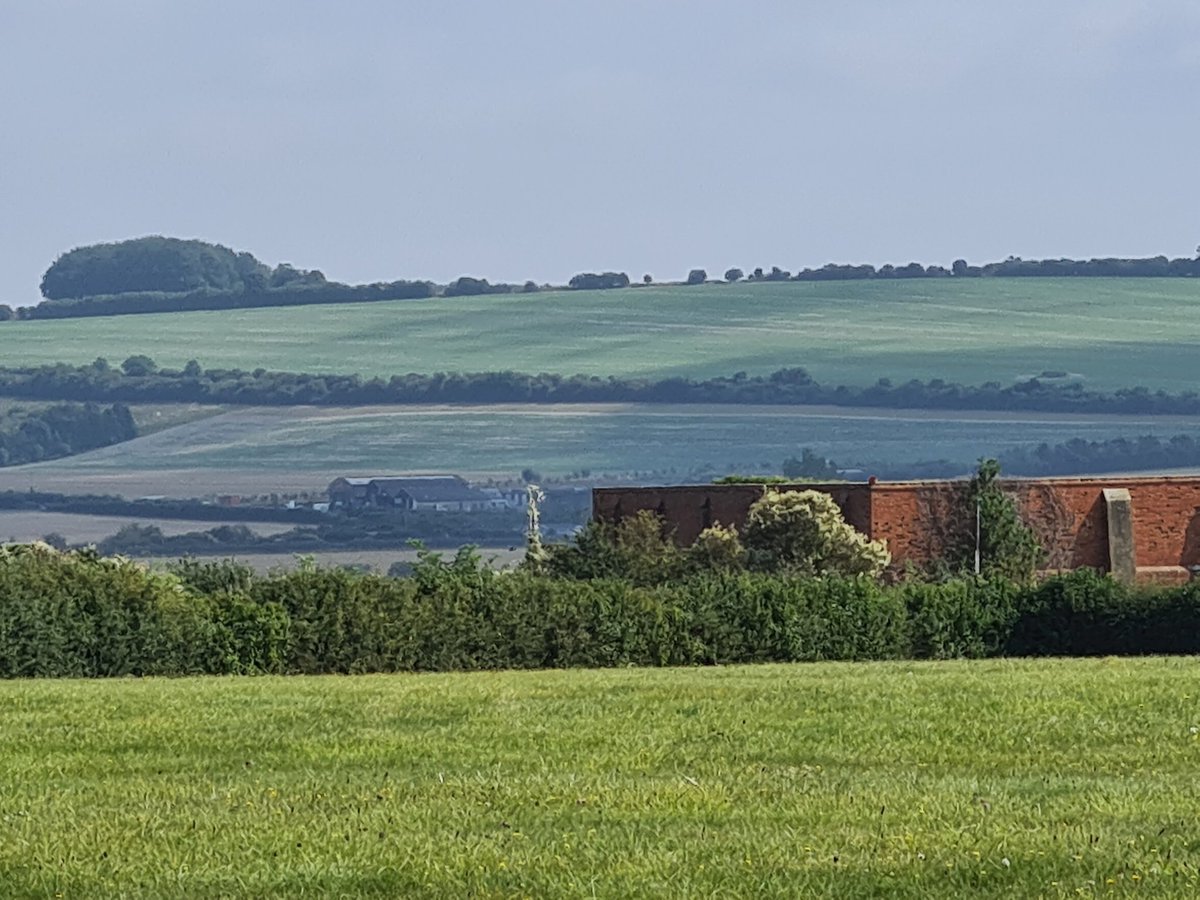 View today for lunch.