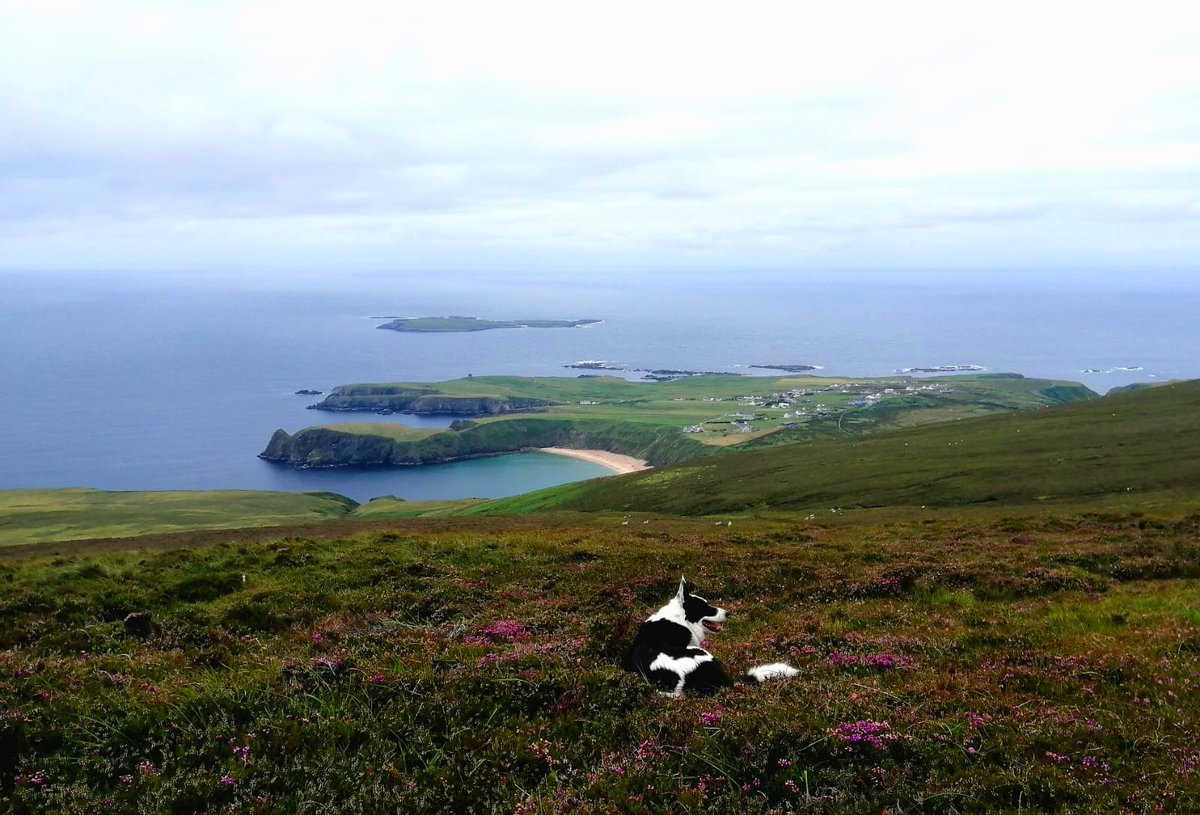 Away_To_Me's tweet photo. Nell loves her work but, with an office like this, who wouldn't? #WednesdayMotivation https://t.co/MPE6MWNvrt