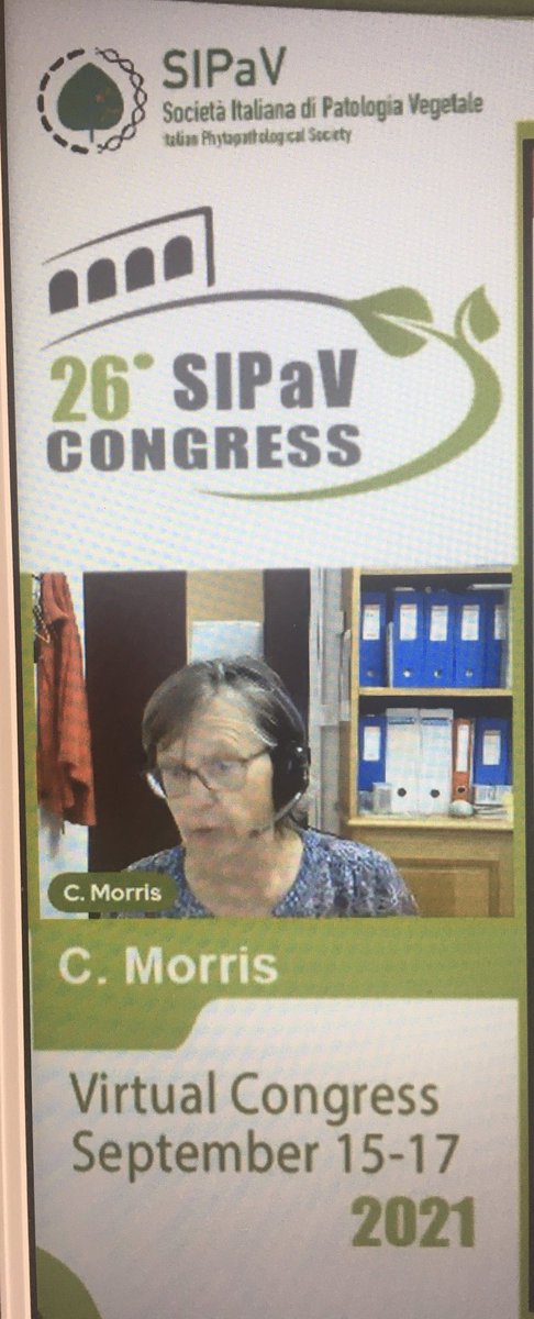 Opening lecture by Cindy Morris are the 26 <a href="/SIPaV1992/">SIPaV</a> Congress