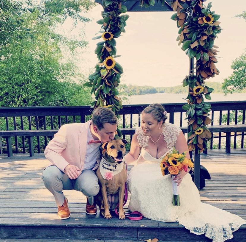 HelloHazelCo's tweet image. Bright sunflowers for a bright life! Living for that bouquet. I can’t wait to see more fall weddings!!! 🌻💕

#wedding #dogs #dogaccessories #fallwedding #smallbusiness