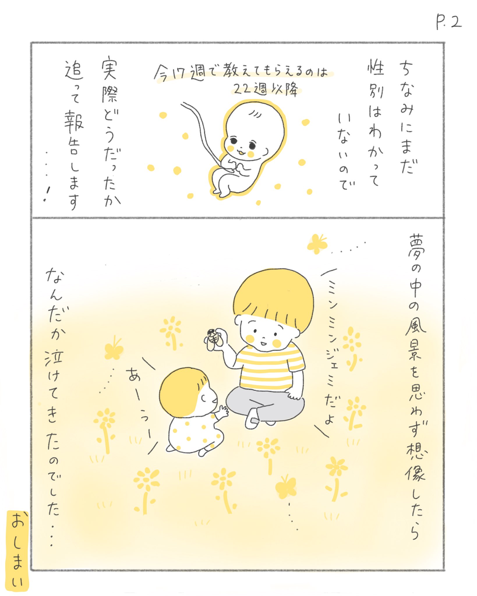 もしこぴ V Twitter 赤ちゃんの性別は 2歳9ヶ月 17週 ちなみに性別については 生まれる前に一度決まるけど 大きくなったら自分で選んでいいんだよと伝えてます 育児漫画 代替テキスト T Co Ntx4nqv0dv Twitter