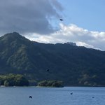 ツイートに含まれる画像