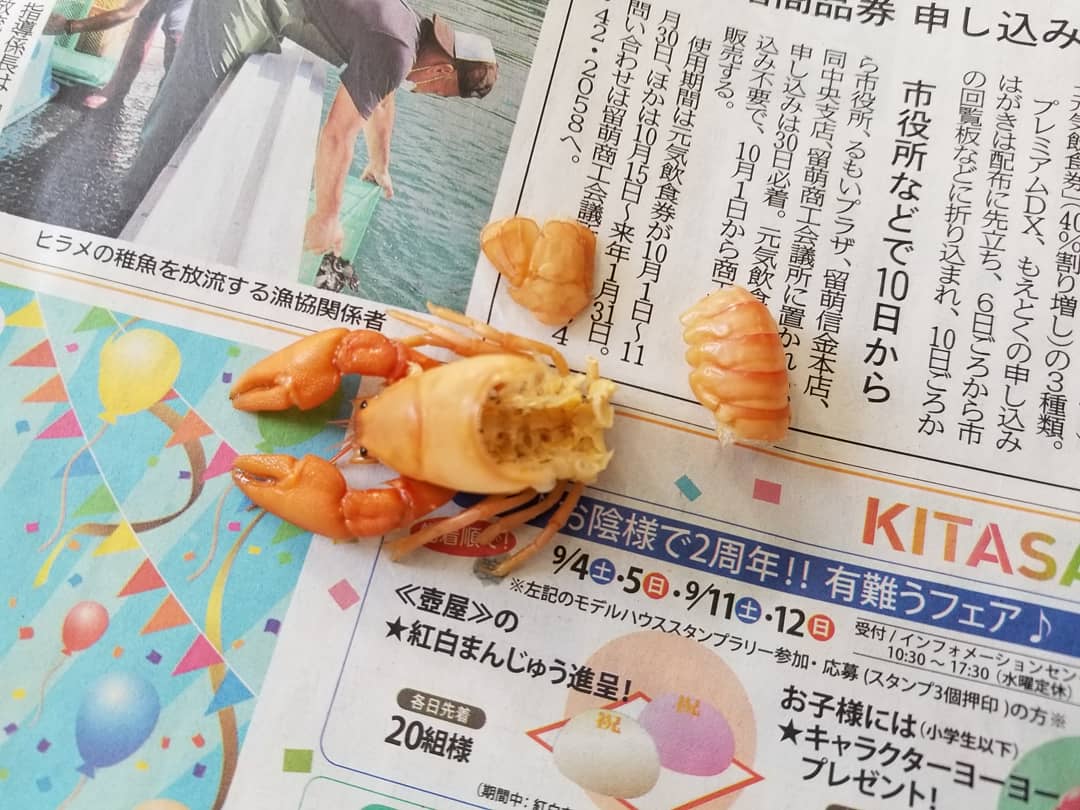 オホーツクミュージアムえさし Okhotskmuseum Twitter