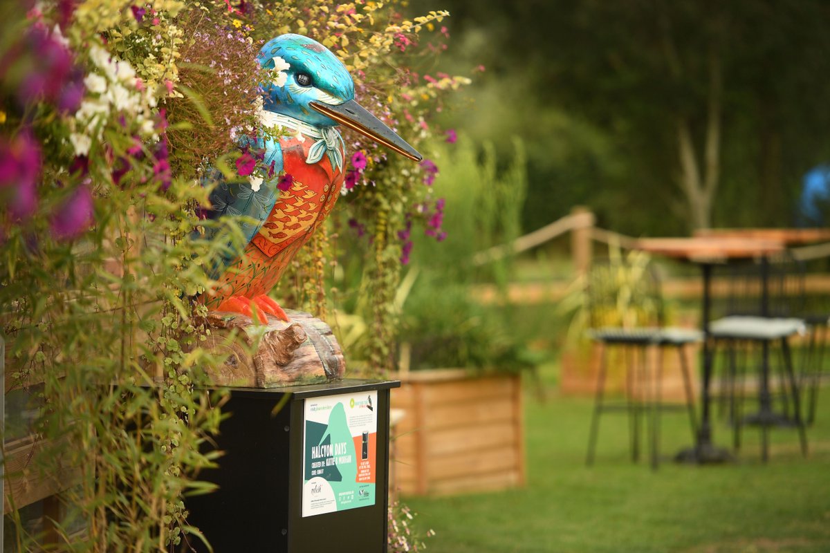 Kingfisher Trail tweet media