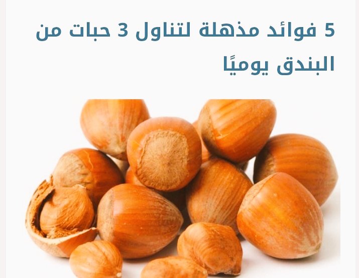 طُووقٌ آلُِيآسمين ꕤ tweet media