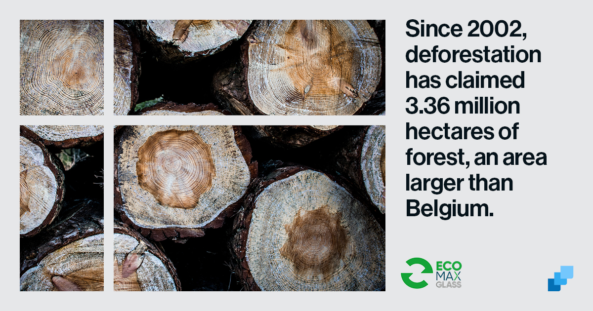 ClaytonGlass's tweet photo. Help us with our cause.

Join the EcoMAX movement: https://t.co/xHdgHq8leu

#EcoMAXMovement #Deforestation https://t.co/OmmsnlqtR5
