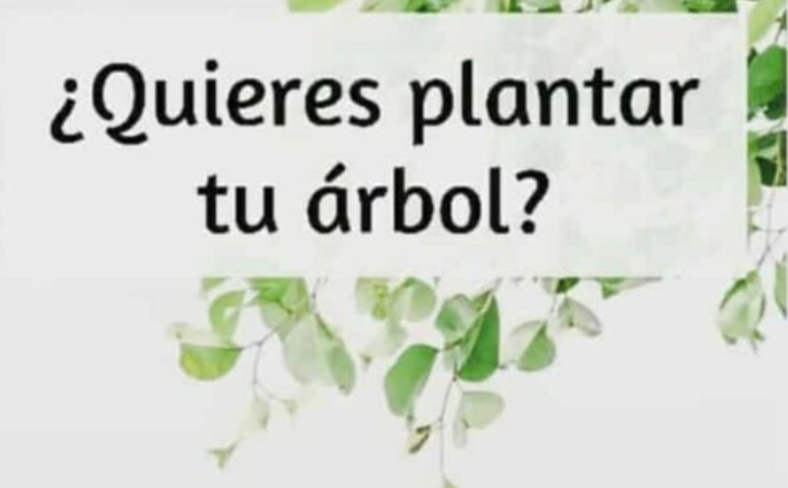 Seamos actores de la transición verde... una gran oportunidad para cuidar y mimar un árbol 💚
ampaisabellacatolica.com/2021/09/quiere…