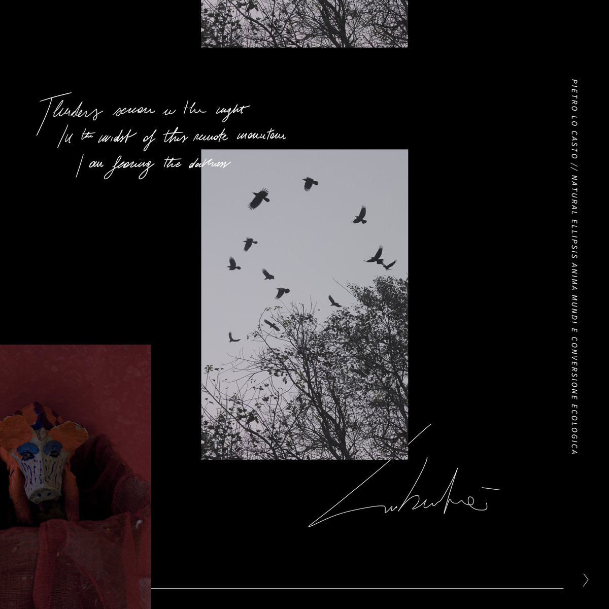 Studio Tape tweet media