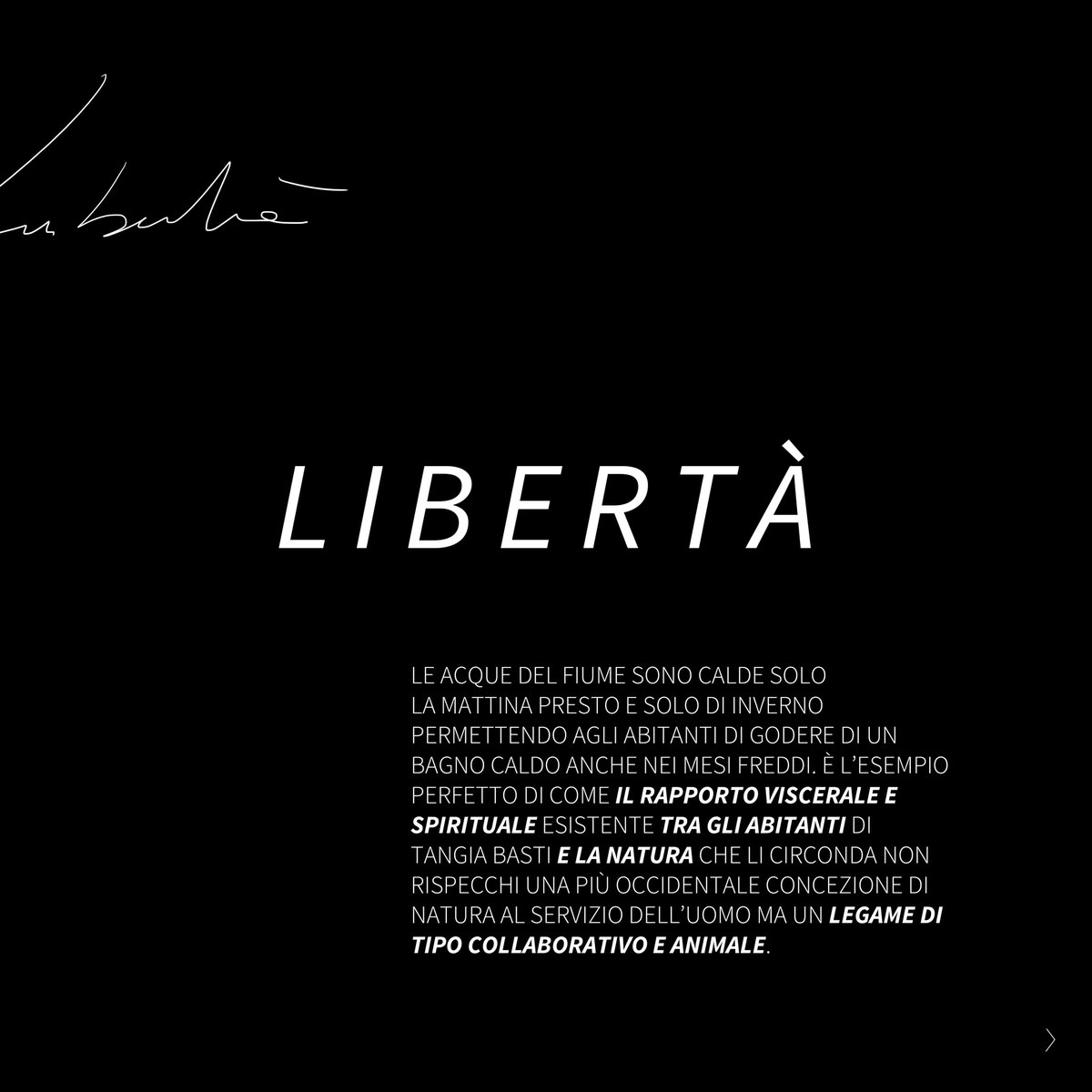 Studio Tape tweet media