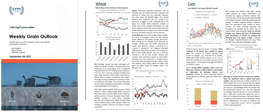 CRMagri's tweet photo. The weekly #grain outlook is live on #graintab. This weeks forward looking report focuses on future price outlooks for #wheat and #corn and the wake of the #USDA #wasde report. #OATT https://t.co/SkbSmVVrj7