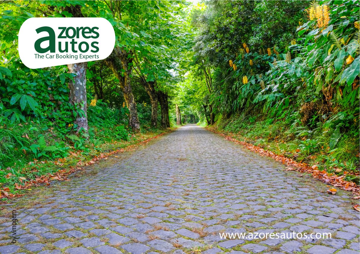 AzoresAutos's tweet photo. Azores is the Paradise! And the Safeway to discover is with Azores Autos!
Book now: https://t.co/nIJrHQEbgg
#azoresislands #azores #visitazores #shareazores #iloveazores #azoresisland #azoresportugal #azoreslovers #azorean #acores #azoresautos https://t.co/RNuuYhqc9s