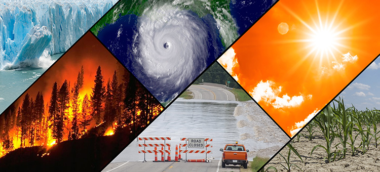 Chalmers tweet media