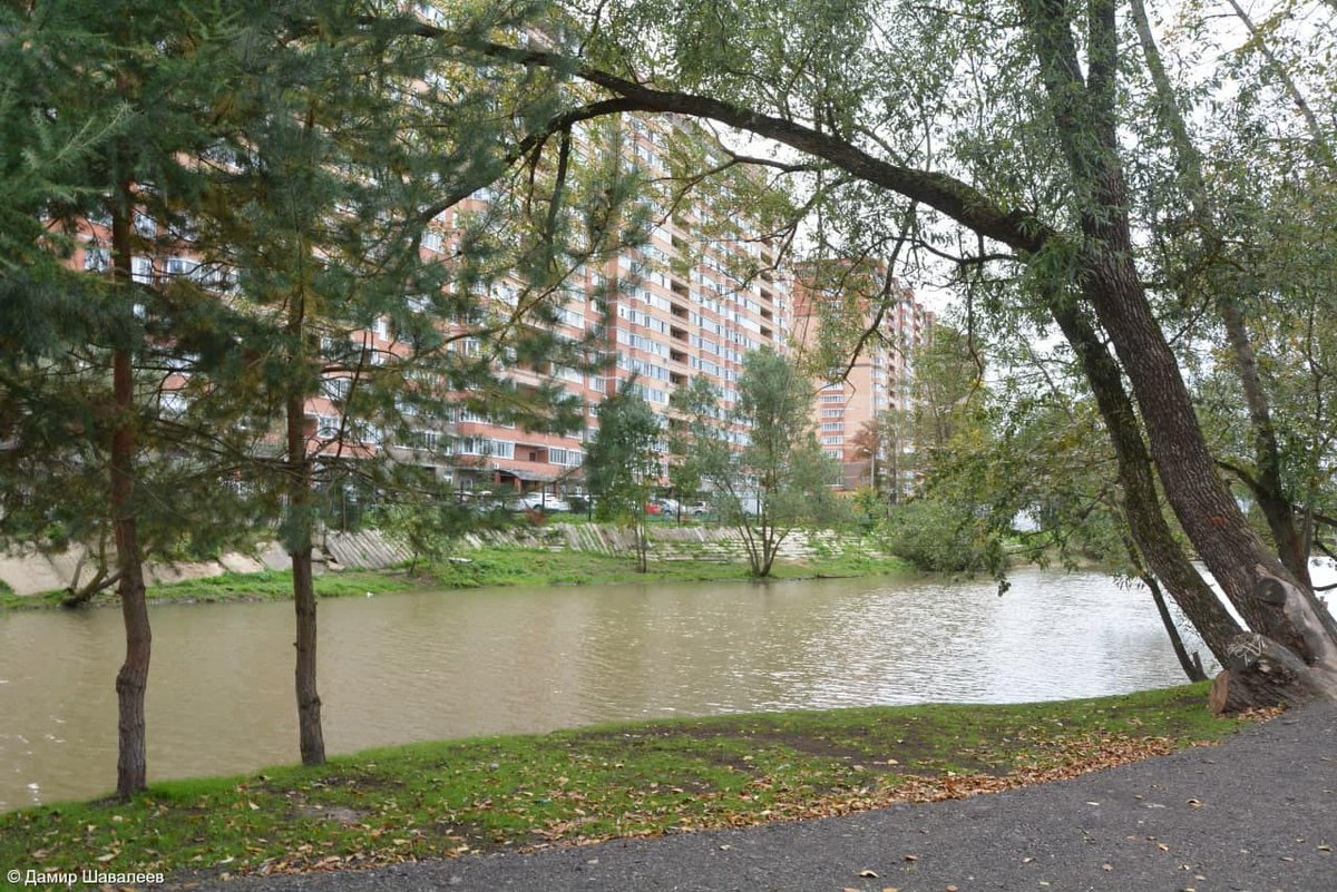 поселок вороново лмс набережная пруд. путяевские пруды пляж. голые на борисовских прудах. голые на борисовских прудах. место отдыха горожан 4.