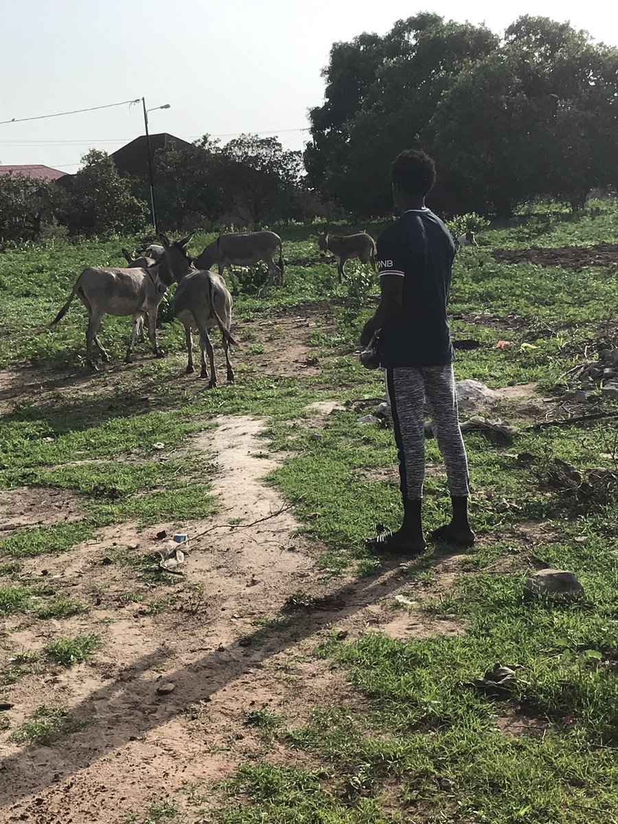 Ousainou Ceesay (@ousainouceesa13) on Twitter photo 