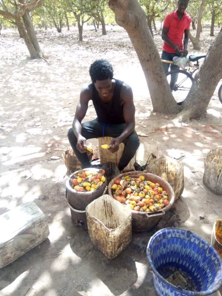 Ousainou Ceesay (@ousainouceesa13) on Twitter photo 