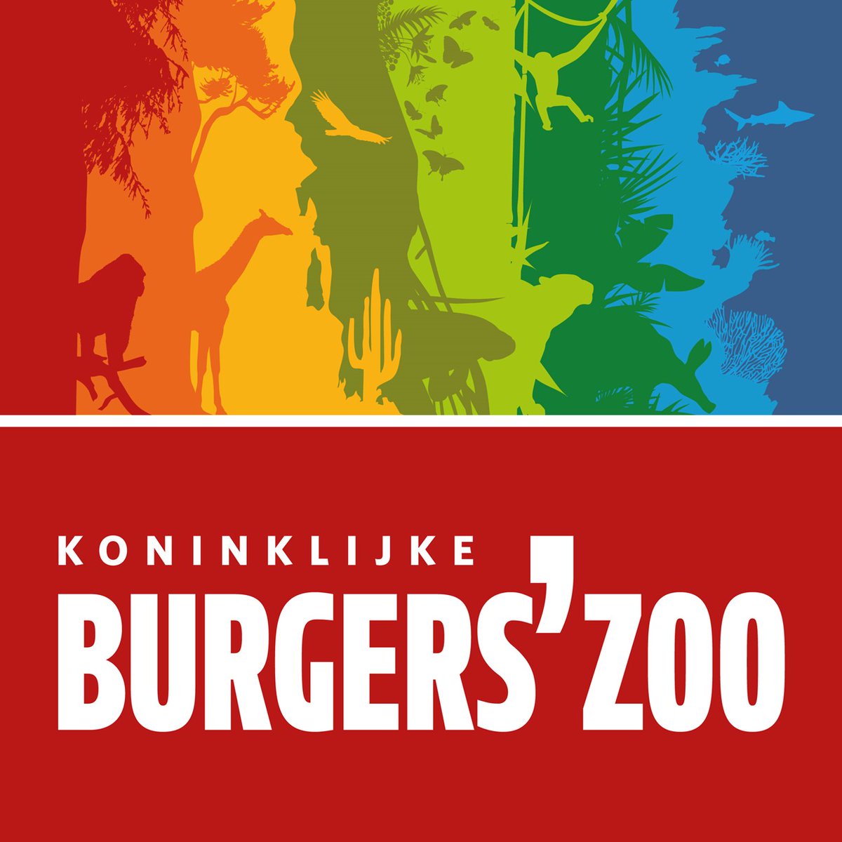 Géén Meerlingendag in Burgers' Zoo, wél korting! #NVOM #tweeling #meerling  - nvom.nl/geen-meerlinge…