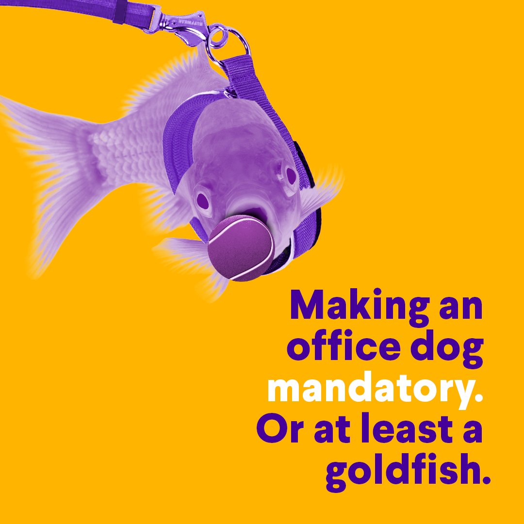 World peace would be great and all, but there’s other stuff that would get our vote on this #internationaldayofdemocracy. #sirfish #atyoursirfish