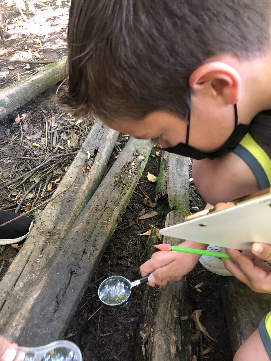 KatieRenners's tweet photo. Took half of #InfinityMI team to the ESA yesterday to search for decomposers. We found a lot of cool things while we explored. Hands on learning is the best! #MIStrong #MasonMoment #COMETogether https://t.co/0LYgM69UJN
