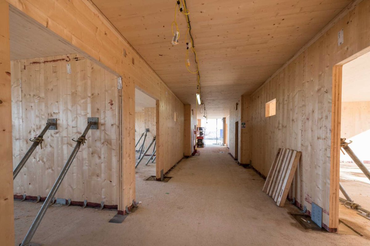 Ashe Group tweet media