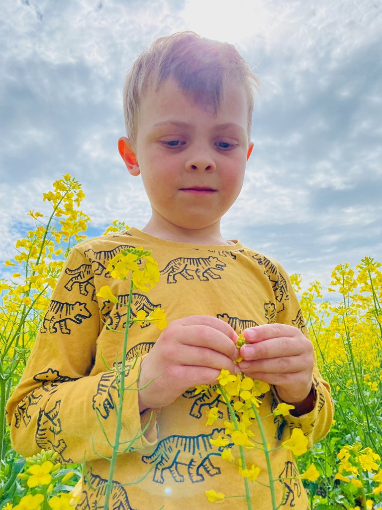 Charley Uebergang of Natimuk is excited about the future of canola as he inspects #HyolaEnforcerCT #stacked technology delivers sustainability ensuring the farm is in a weed free state when it’s his turn <a href="/PacificSeeds/">Pacific Seeds</a> <a href="/CaptainCanola/">Justin Kudnig</a> <a href="/DavidTabah/">David Tabah ("DT")</a> <a href="/hurgl1/">Tim Wilmshurst</a>