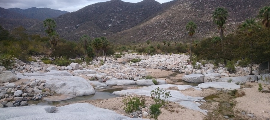 🔬 Scientists to use unique river shape analysis tool to reconstruct past climate and identify faults that could be hazardous, such as the ones that may cause earthquakes. 🤲 <a href="/EdinLandSurf/">EdinburghLandSurface</a> <a href="/e3dtp/">E4 Doctoral Training Partnership</a> <a href="/isotopesUK/">National Environmental Isotope Facility</a> 📸 River in Sierra de la Laguna Mexico

👉 ed.ac.uk/geosciences/ne…