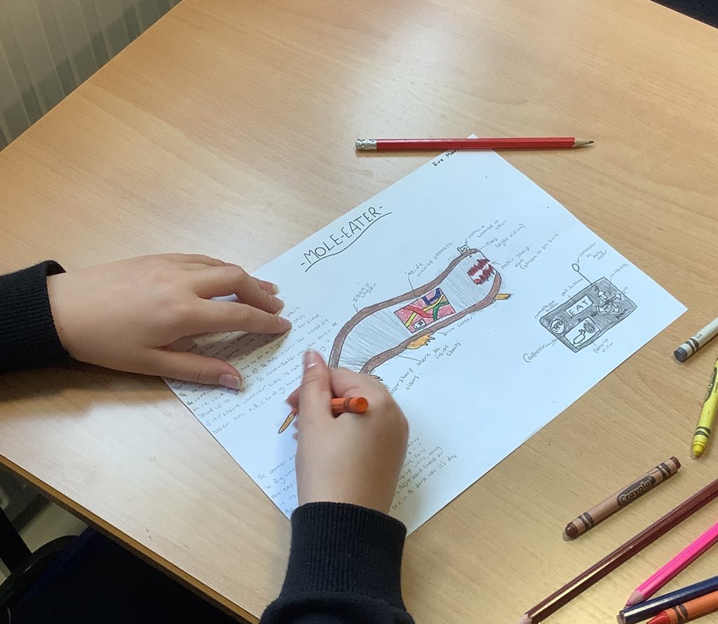 2EN2 competing in round 2 of our class Hunger Games Challenge: creating their own ‘series of genetically altered animals as weapons’ 
I’m loving their creativity!

#EnglishClass #TheHungerGames #mockingjay