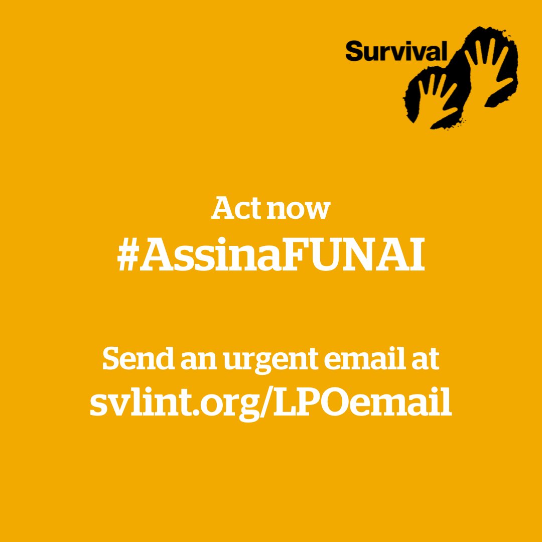 If you care about #HumanRights, then you need to care about the Piripkura in #Brazil.

In 3 days' time, the Land Protection order shielding their territory will expire. If the authorities don't renew it, the tribe could be overrun by invaders. 

Act now 👉 svlint.org/LPOTW
