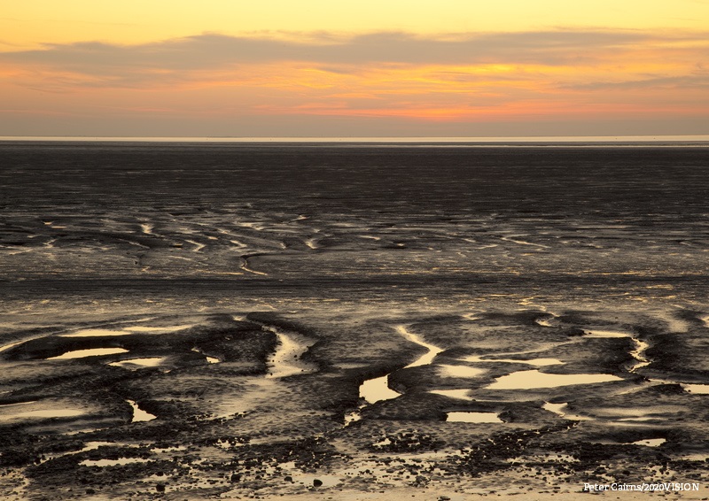 Did you know that a football field’s worth of saltmarsh can remove the equivalent of a car’s annual carbon emissions?  
Restoring nature will help reduce greenhouse gas emissions. 
Here's how! 👇🚗🌍 
wildlifetrusts.org/what-we-do/nat…