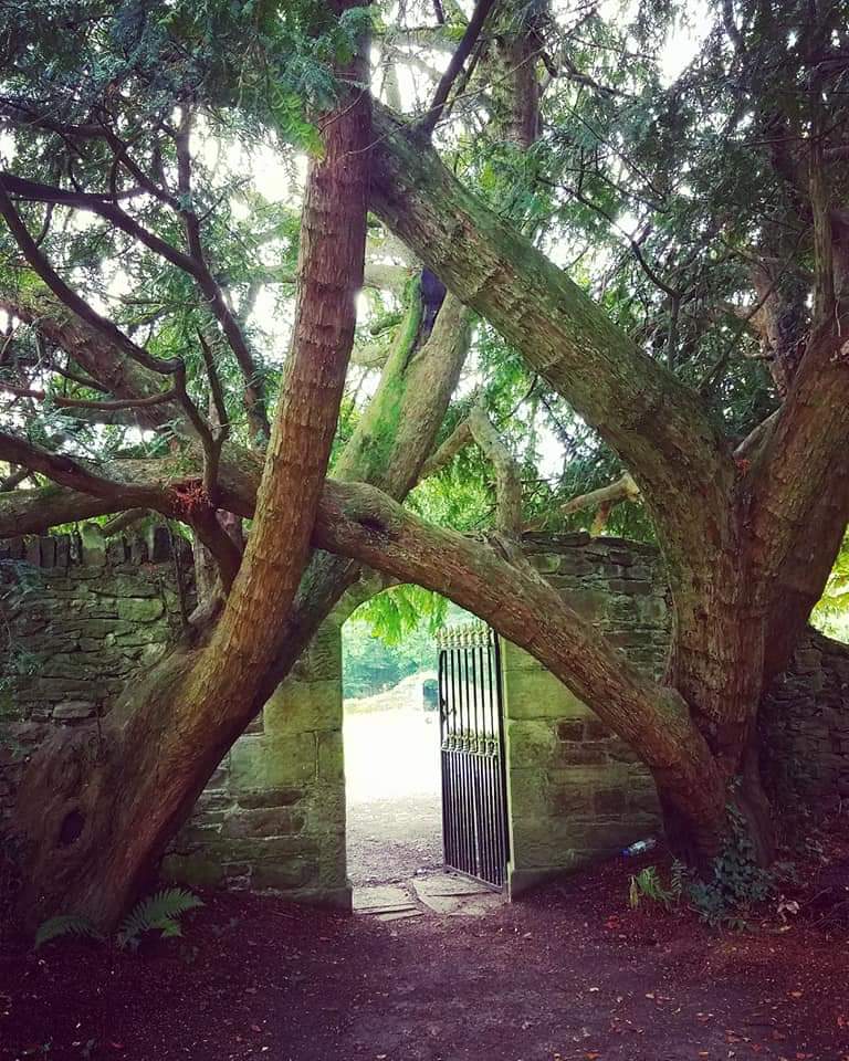 mommamaybemad1's tweet photo. Glenstal Abbey, County Limerick 2018 https://t.co/Y0dpIuMoG4