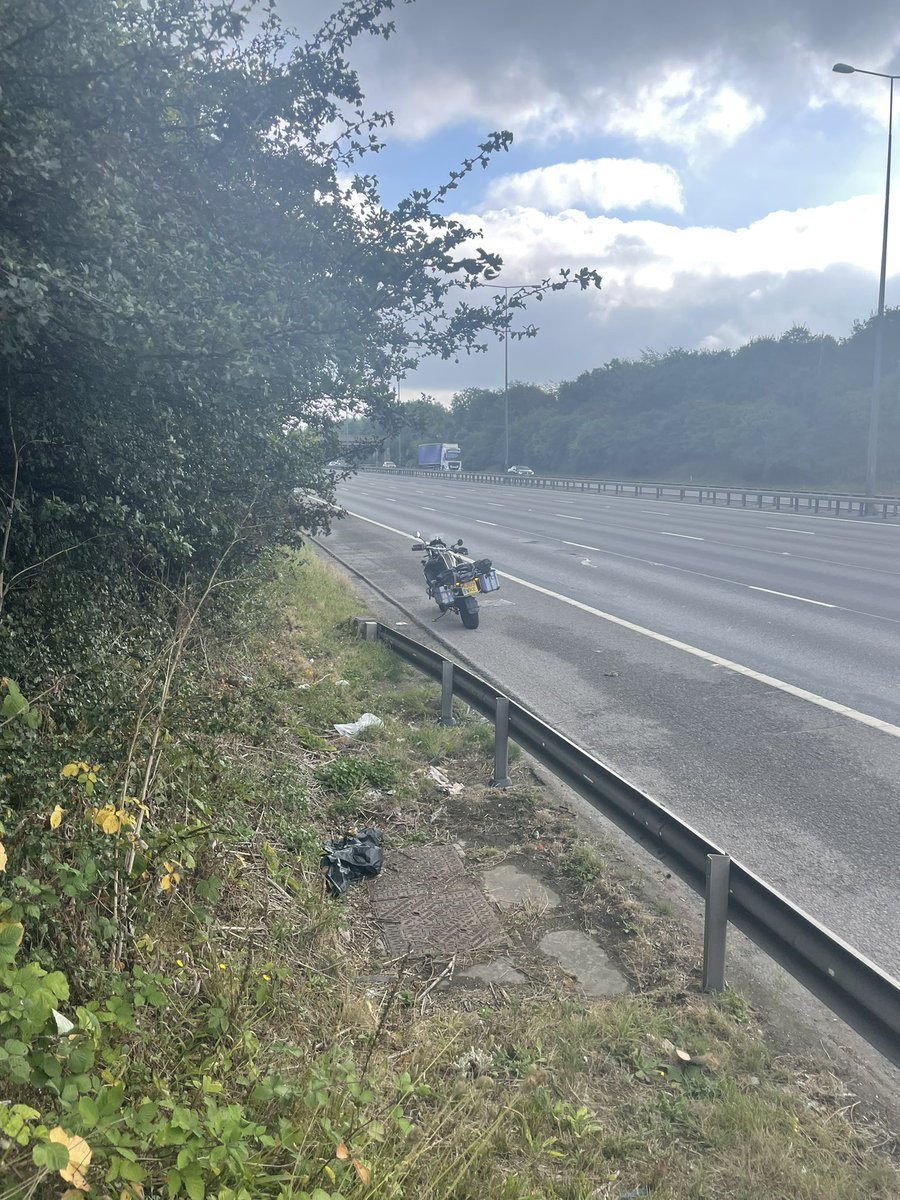 Ki Price tweet media